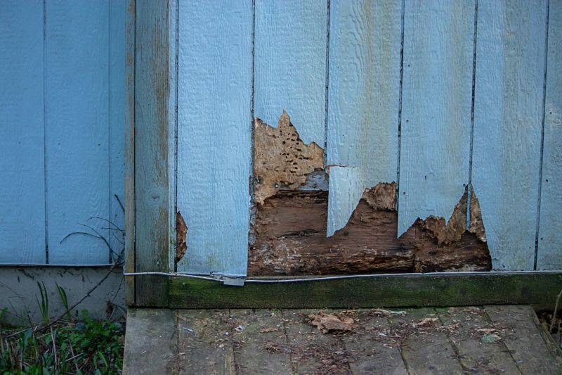 Summer Siding Repairs