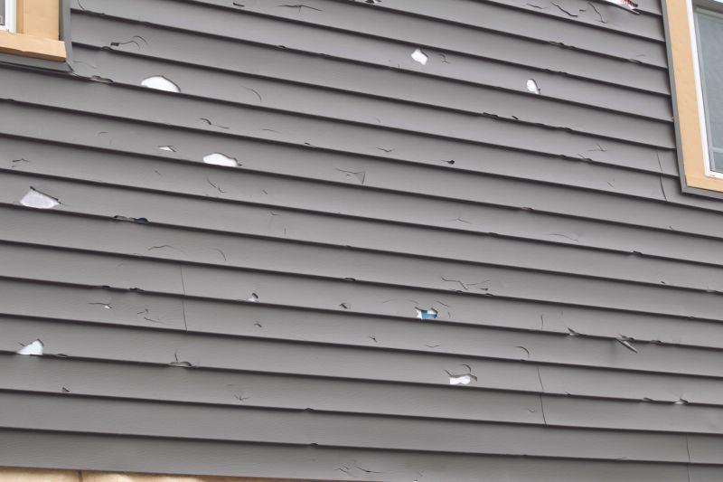 Professional Siding Repair