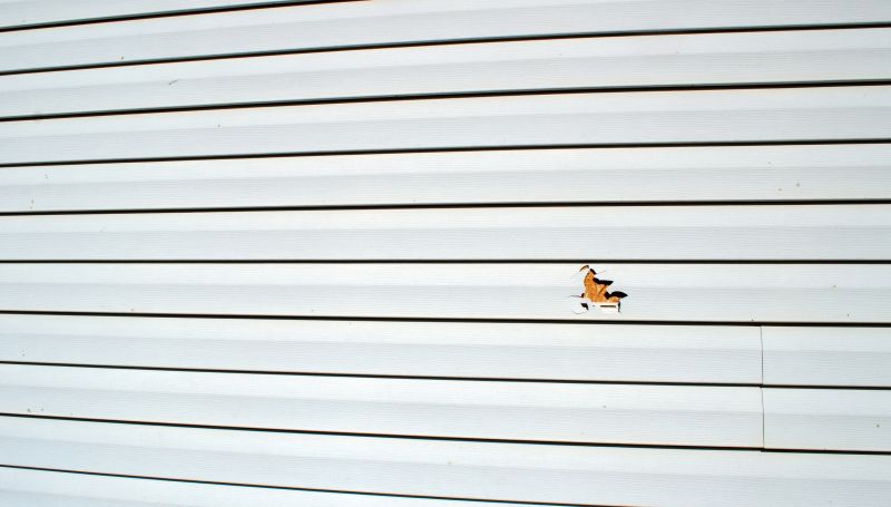 Siding Repair Close-Up